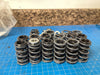Dual Valve Springs and Retainers (ISKY Racing Cams)