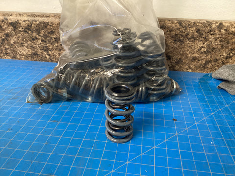 Dual Valve Springs and Retainers (ISKY Racing Cams)